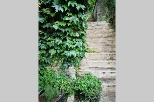 Apartamento La Belle Vigne