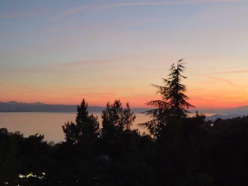3-bedroom Apartment With Spectacular View