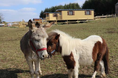 Bed & Breakfast L' Instant Ch' Oizy