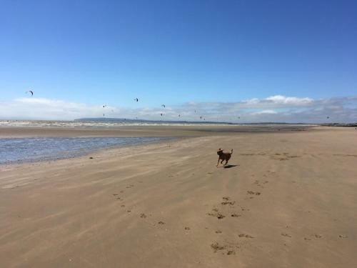 7 Coastguard Cottages, Jury?s Gap, Camber Sands