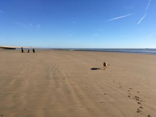 7 Coastguard Cottages, Jury?s Gap, Camber Sands