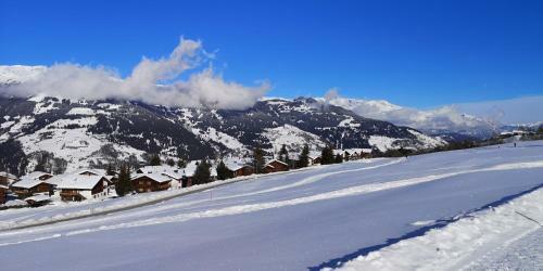 Grosses Ferienhaus Mit Sauna Im Skigeb. Obersaxen