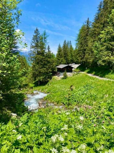 Charmant Chalet Immerg� Dans La Nature