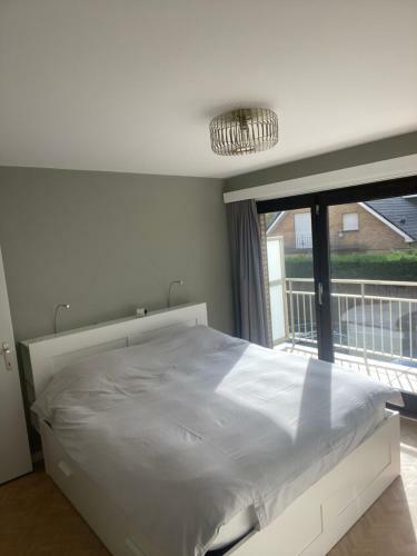 Apartamento Shannon Odk
