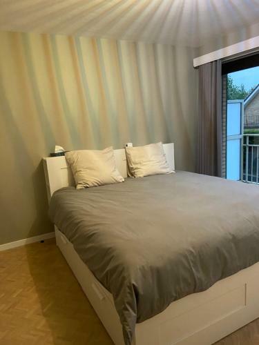 Apartamento Shannon Odk