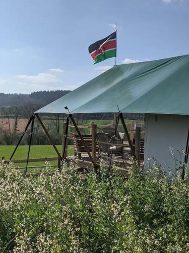 Hakuna Matata Safari Lodge