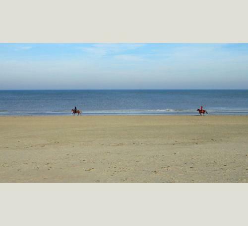 Apartamento Duinlicht-oostduinkerke