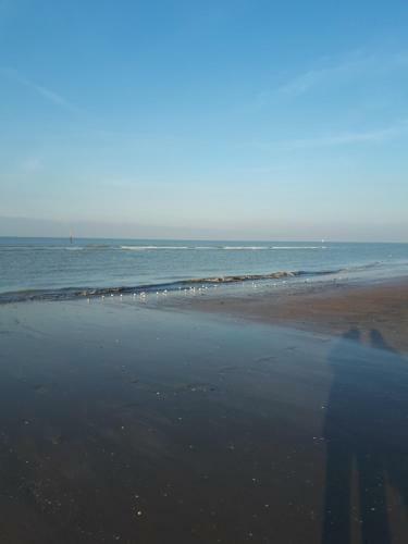 Apartamento Shamrock Oostduinkerke
