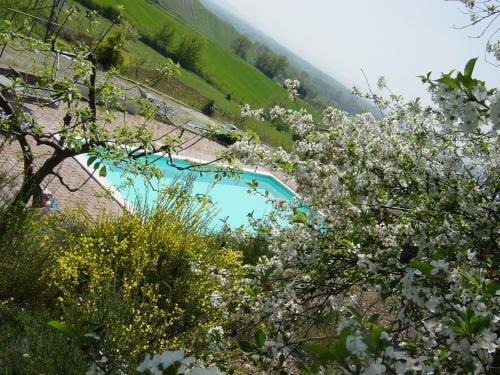 B&B Di Spineto