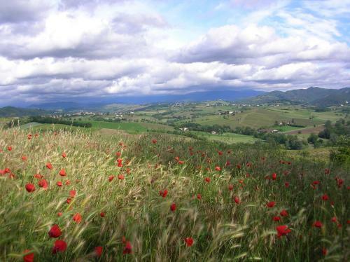 Bed & Breakfast Villa Romaniani