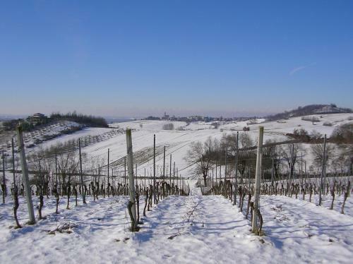 Bed & Breakfast Villa Romaniani
