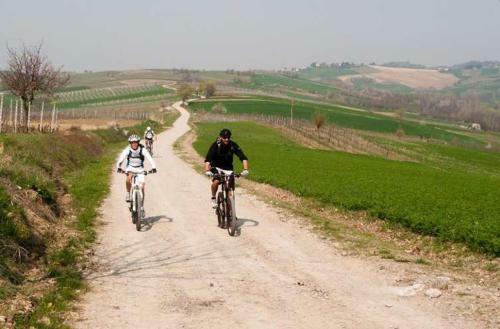 Bed & Breakfast Villa Romaniani