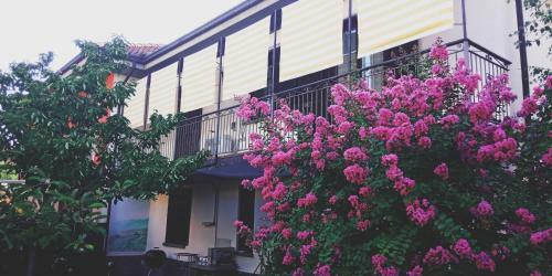 Bed & Breakfast Villa Romaniani