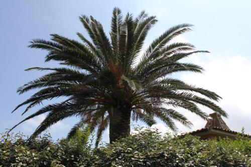 Playa Del Oro