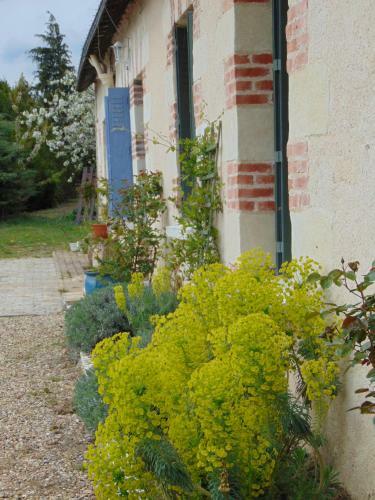 Bed & Breakfast La Ferme Aux Oies