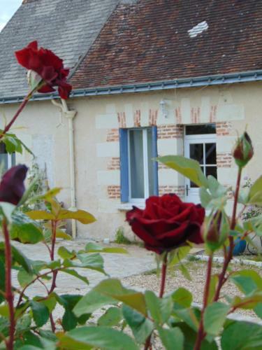 Bed & Breakfast La Ferme Aux Oies