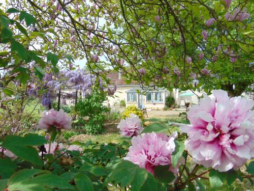 Bed & Breakfast La Ferme Aux Oies