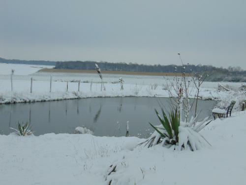 Bed & Breakfast La Ferme Aux Oies
