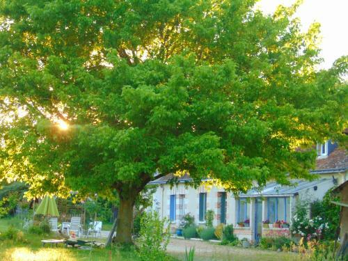 Bed & Breakfast La Ferme Aux Oies