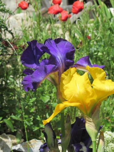 Bed & Breakfast Maison De Marguerite