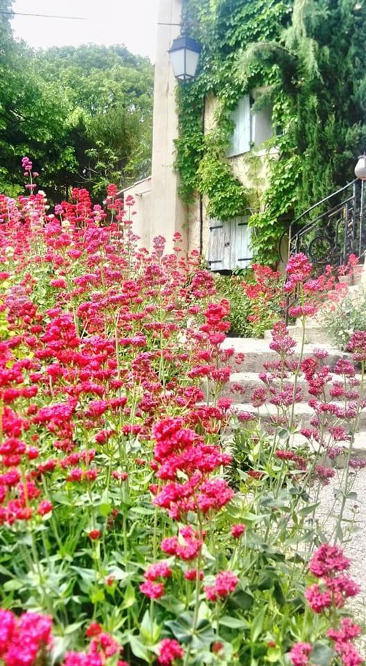 Bed & Breakfast Maison De Marguerite