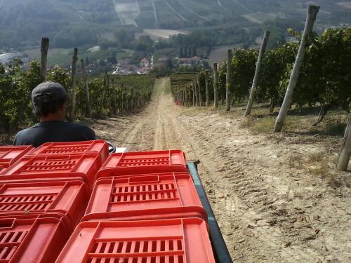 Tenuta Calabiana
