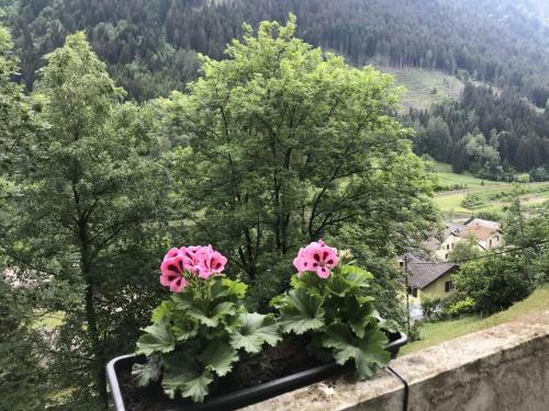 Apartamento Genzianella