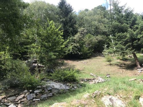 Apartamento Genzianella