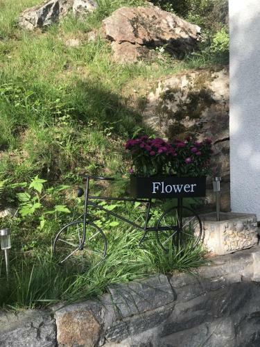 Apartamento Genzianella