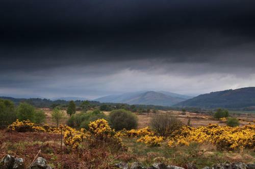 Cardross Holiday Cottages