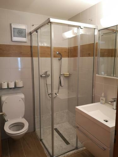 Apartamento Studio 20 Ovronnaz