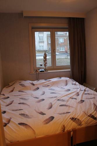 Apartamento Ensorella