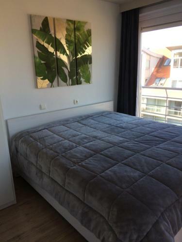 Apartamento Res Apollo Nieuwpoort