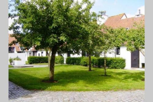 Gezellige Vakantiewoning Te Nieuwpoort