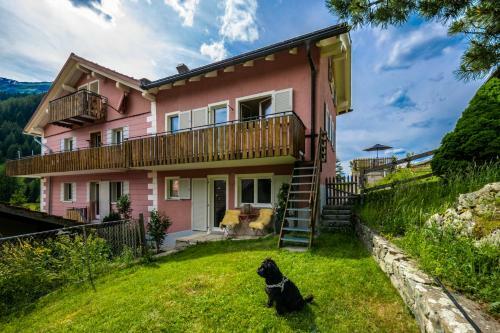 Apartamento Bellavista (1019)