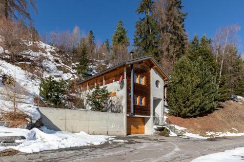Chalet Theo