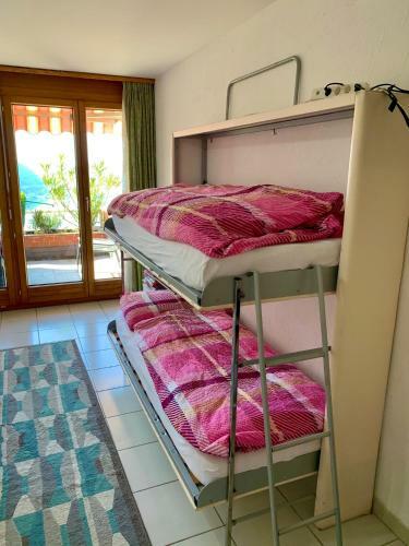 Apartamento Casa Belvedere