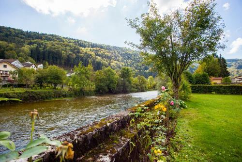 Hostal Bnb Logis Des Saules