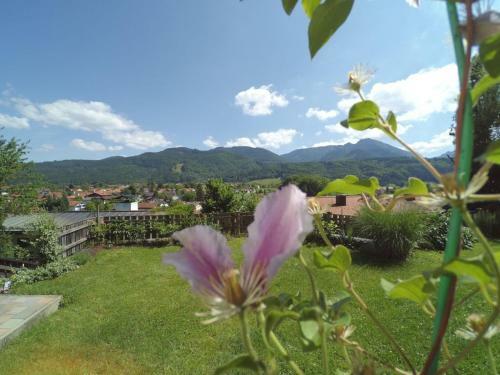 Sonnenh�usl