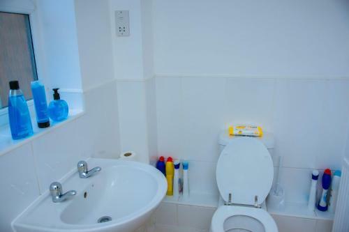 Superior 2 Bedroom Apartments