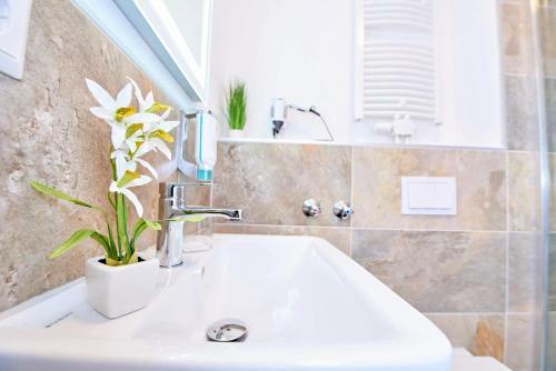Hotel Ph�nix