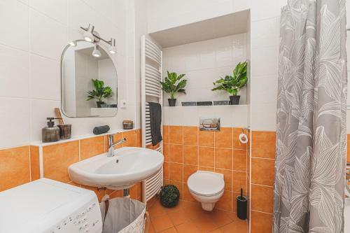 ���carolina's Modern Apartment ���