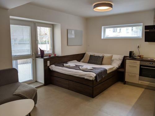 Ap10 - Hradec Apartments "overnight Simply"