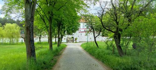 Apartamento Fewo Vor Dem Berg