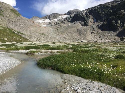 Apartamentos Haus Alpenstern