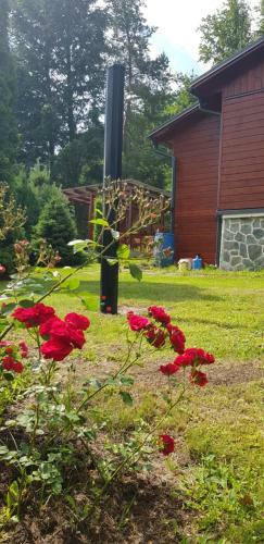 Apartamento Chata Spolunakole - ?esk� R�j