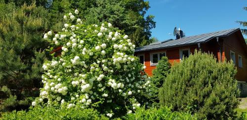 Apartamento Chata Spolunakole - ?esk� R�j