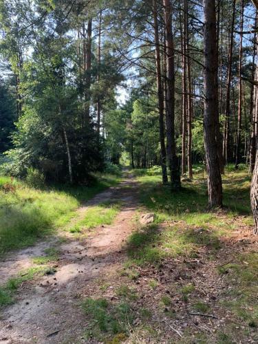 Apartamento Na Konci Sv?ta Janov