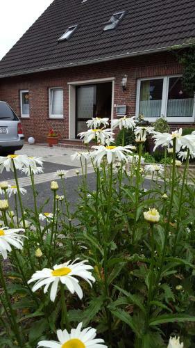 Apartamento Wohnung 3- Haus Annegrete