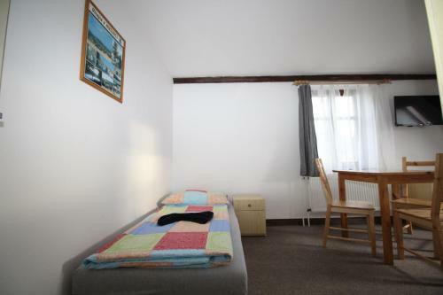 Hostal Penzion U Blanice
